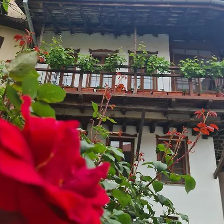 Gurko 7, 2br, Center, Free Parking Veliko Tarnovo