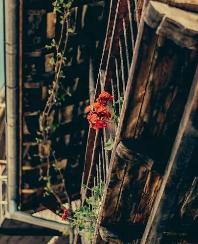 Gurko 7, 2br, Center, Free Parking וליקו טורנובו