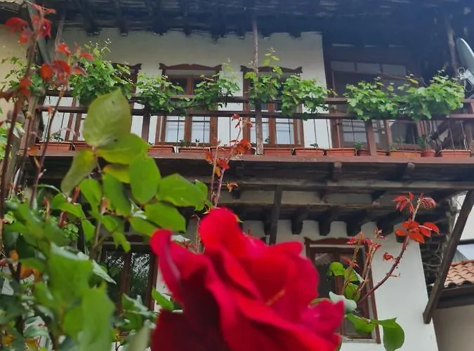 Gurko 7, 2br, Center, Free Parking בית הארחה