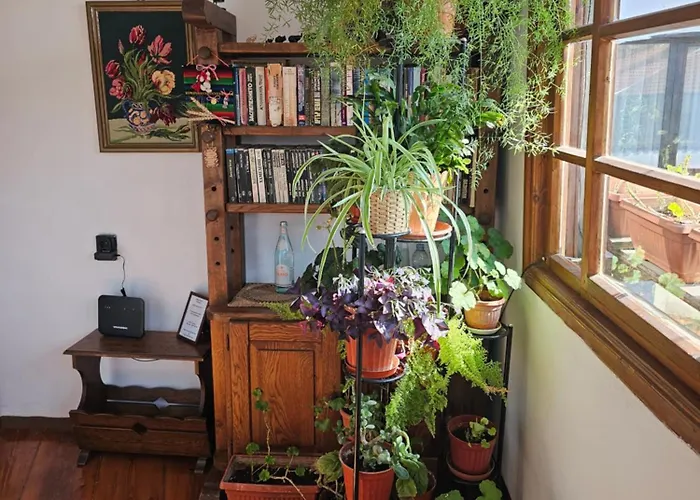 בית הארחה Gurko 7, 2br, Center, Free Parking 4*