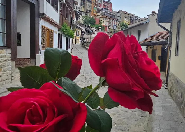 Gurko 7, 2br, Center, Free Parking